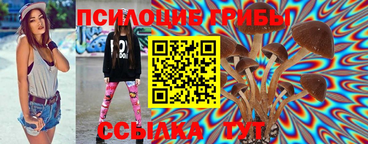 Псилоцибиновые грибы GOLDEN TEACHER Новодвинск