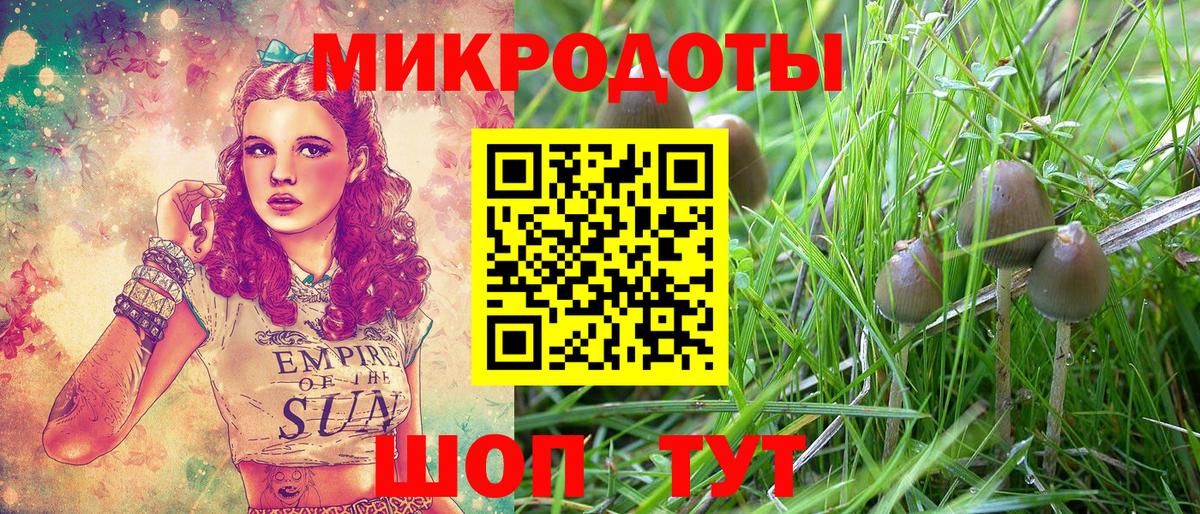 Галлюциногенные грибы MAGIC MUSHROOMS  Вход с VPN  Новодвинск 